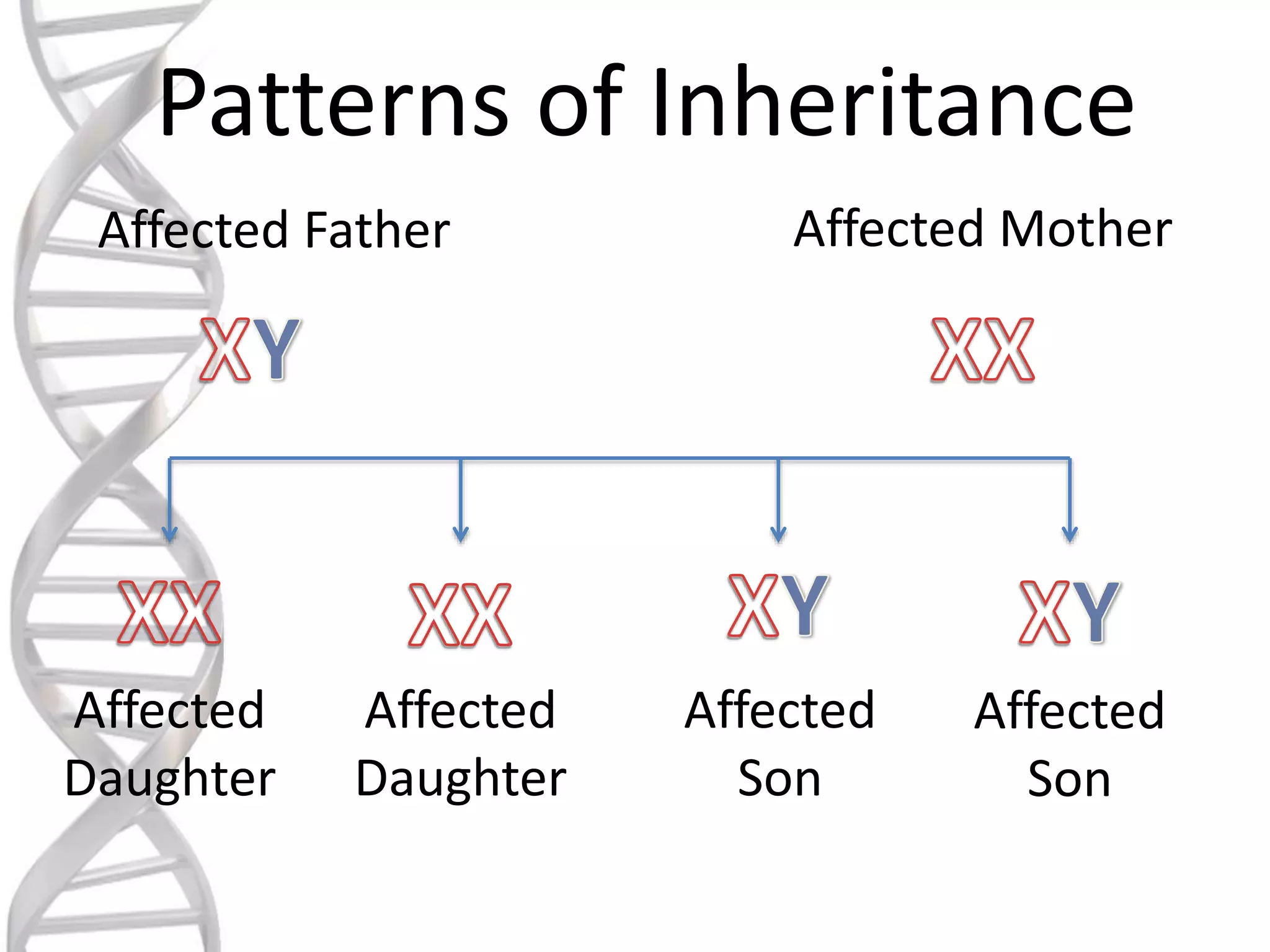 Patterns of Inheritance
Affected Father Affected Mother
Affected
Daughter
Affected
Daughter
Affected
Son
Affected
Son
 