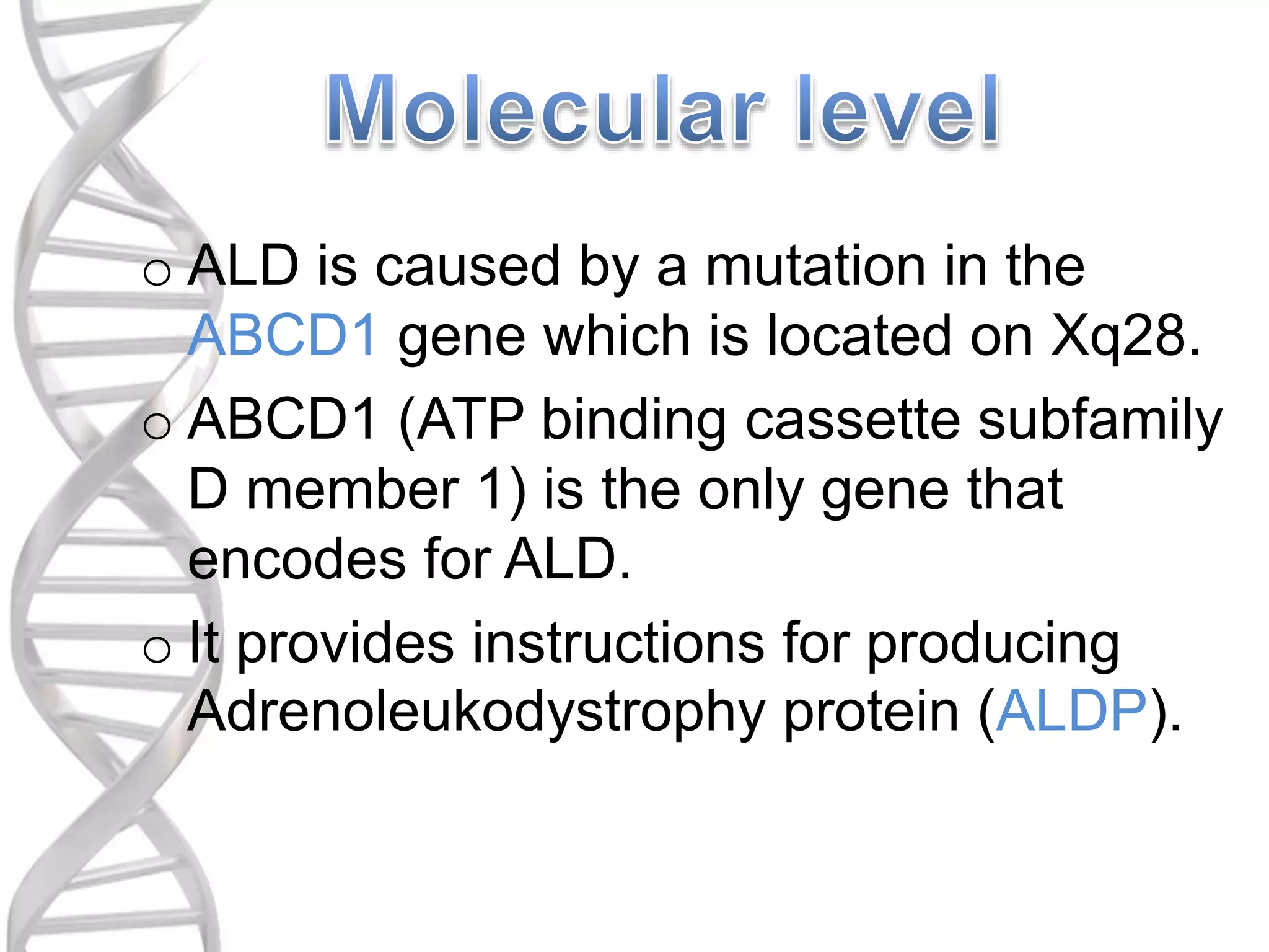o ALD is caused by a mutation in the
ABCD1 gene which is located on Xq28.
o ABCD1 (ATP binding cassette subfamily
D member 1) is the only gene that
encodes for ALD.
o It provides instructions for producing
Adrenoleukodystrophy protein (ALDP).
 