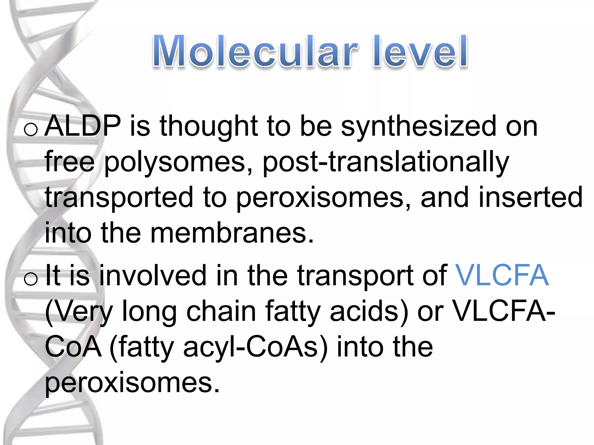 oALDP is thought to be synthesized on
free polysomes, post-translationally
transported to peroxisomes, and inserted
into the membranes.
o It is involved in the transport of VLCFA
(Very long chain fatty acids) or VLCFA-
CoA (fatty acyl-CoAs) into the
peroxisomes.
 