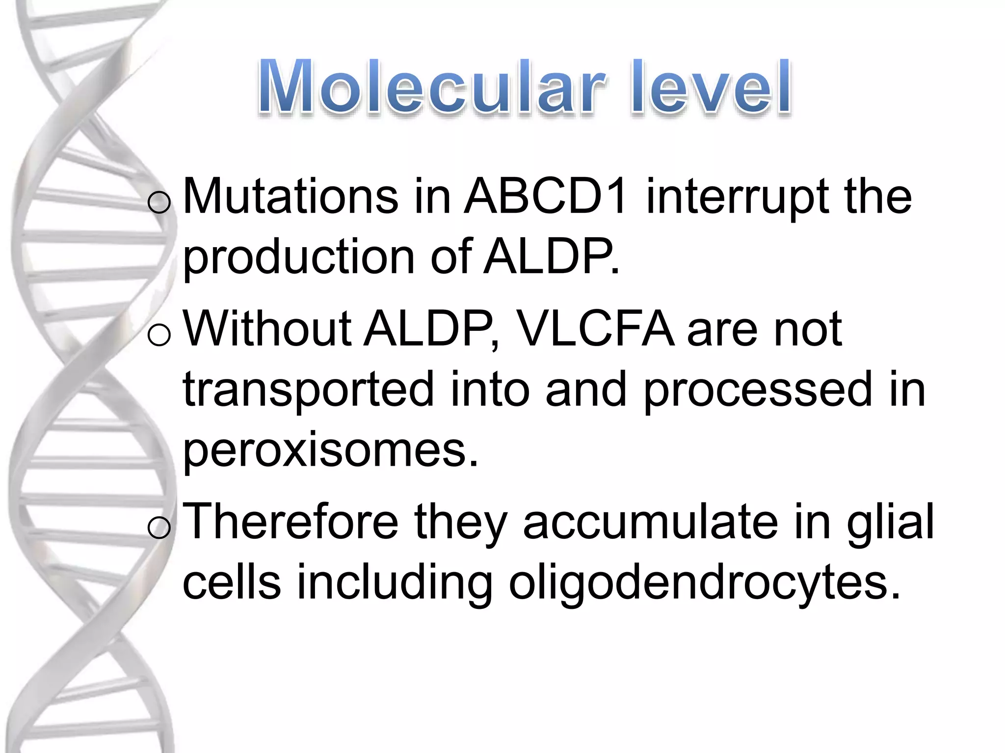 oMutations in ABCD1 interrupt the
production of ALDP.
oWithout ALDP, VLCFA are not
transported into and processed in
peroxisomes.
oTherefore they accumulate in glial
cells including oligodendrocytes.
 