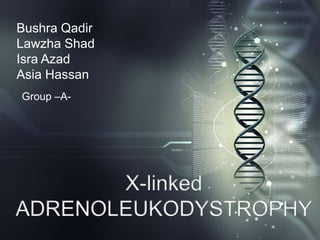 X-linked
ADRENOLEUKODYSTROPHY
Bushra Qadir
Lawzha Shad
Isra Azad
Asia Hassan
Group –A-
 