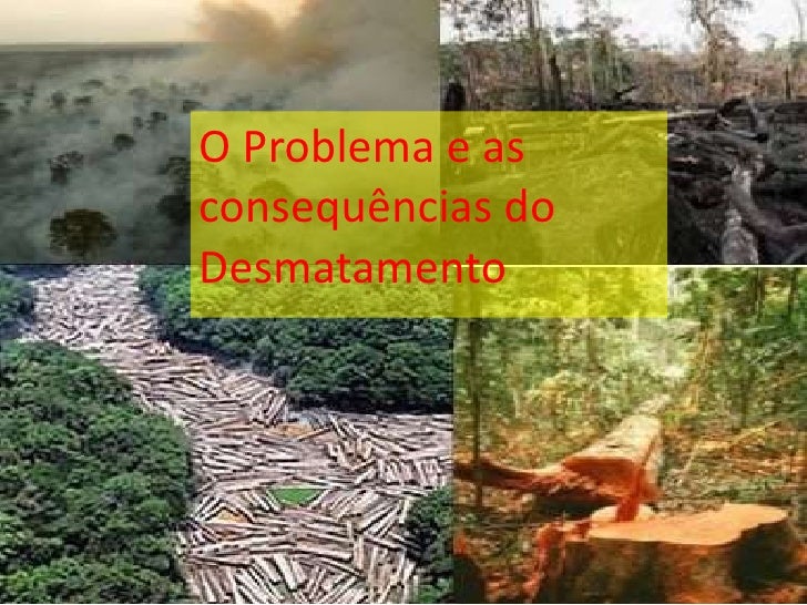 Aponte As Causas Do Desmatamento Dessa Formação Vegetal