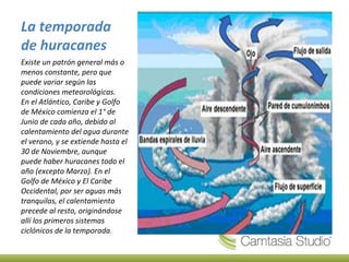 La temporada
de huracanes
Existe un patrón general más o
menos constante, pero que
puede variar según las
condiciones meteorológicas.
En el Atlántico, Caribe y Golfo
de México comienza el 1° de
Junio de cada año, debido al
calentamiento del agua durante
el verano, y se extiende hasta el
30 de Noviembre, aunque
puede haber huracanes todo el
año (excepto Marzo). En el
Golfo de México y El Caribe
Occidental, por ser aguas más
tranquilas, el calentamiento
precede al resto, originándose
allí los primeros sistemas
ciclónicos de la temporada.
 