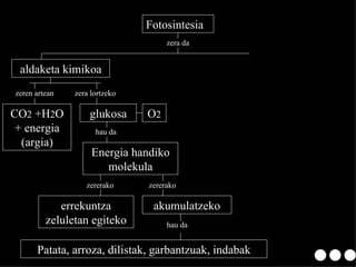 Fotosintesia aldaketa kimikoa CO 2  +H 2 O + energia (argia) glukosa O 2 hau da Energia handiko molekula errekuntza zeluletan egiteko akumulatzeko Patata, arroza, dilistak, garbantzuak, indabak zera da zeren artean zera lortzeko zererako zererako hau da 