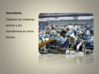 Secundario.
Elaboran las materias
primas y las
transformas en otros
bienes.