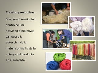 Circuitos productivos.
Son encadenamientos
dentro de una
actividad productiva;
van desde la
obtención de la
materia prima hasta la
entrega del producto
en el mercado.