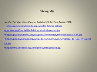 Bibliografía.
•Acuña, Patricia y otros. Ciencias Sociales 3ES. Ed. Tinta Fresca, 2006.
•- http://commons.wikimedia.org/wiki/File:Fabrica-calzado-
Argentina.jpg#/media/File:Fabrica-calzado-Argentina.jpg
•http://upload.wikimedia.org/wikipedia/commons/6/60/Intrahospital_CPR.jpg
•http://upload.wikimedia.org/wikipedia/commons/e/e6/Sembrado_de_soja_en_argent
ina.jpg
•http://www.corrienteshoy.com/galeria/trabajosLana.jpg