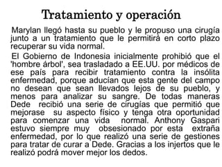 Tratamiento y operación
Marylan llegó hasta su pueblo y le propuso una cirugía
junto a un tratamiento que le permitirá en corto plazo
recuperar su vida normal.
El Gobierno de Indonesia inicialmente prohibió que el
'hombre árbol', sea trasladado a EE.UU. por médicos de
ese país para recibir tratamiento contra la insólita
enfermedad, porque aducían que esta gente del campo
no desean que sean llevados lejos de su pueblo, y
menos para analizar su sangre. De todas maneras
Dede recibió una serie de cirugías que permitió que
mejorase su aspecto físico y tenga otra oportunidad
para comenzar una vida normal. Anthony Gaspari
estuvo siempre muy obsesionado por esta extraña
enfermedad, por lo que realizó una serie de gestiones
para tratar de curar a Dede. Gracias a los injertos que le
realizó podrá mover mejor los dedos.
 