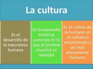 Aldea ó jungla global