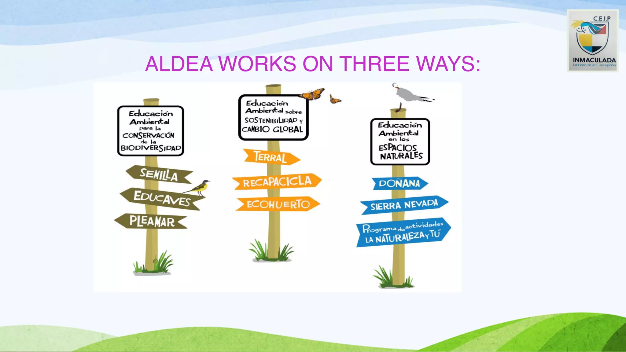 ALDEA WORKS ON THREE WAYS: