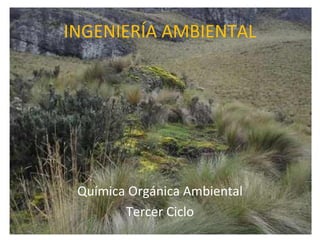 INGENIERÍA AMBIENTAL




 Química Orgánica Ambiental
        Tercer Ciclo
 