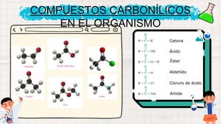 COMPUESTOS CARBONÍLICOS
EN EL ORGANISMO
 