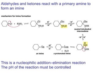 Aldehydes and ketones react with a primary amine to
form an imine




This is a nucleophilic addition–elimination reaction
The pH of the reaction must be controlled
 