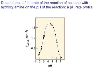 Dependence of the rate of the reaction of acetone with
hydroxylamine on the pH of the reaction: a pH rate profile
 