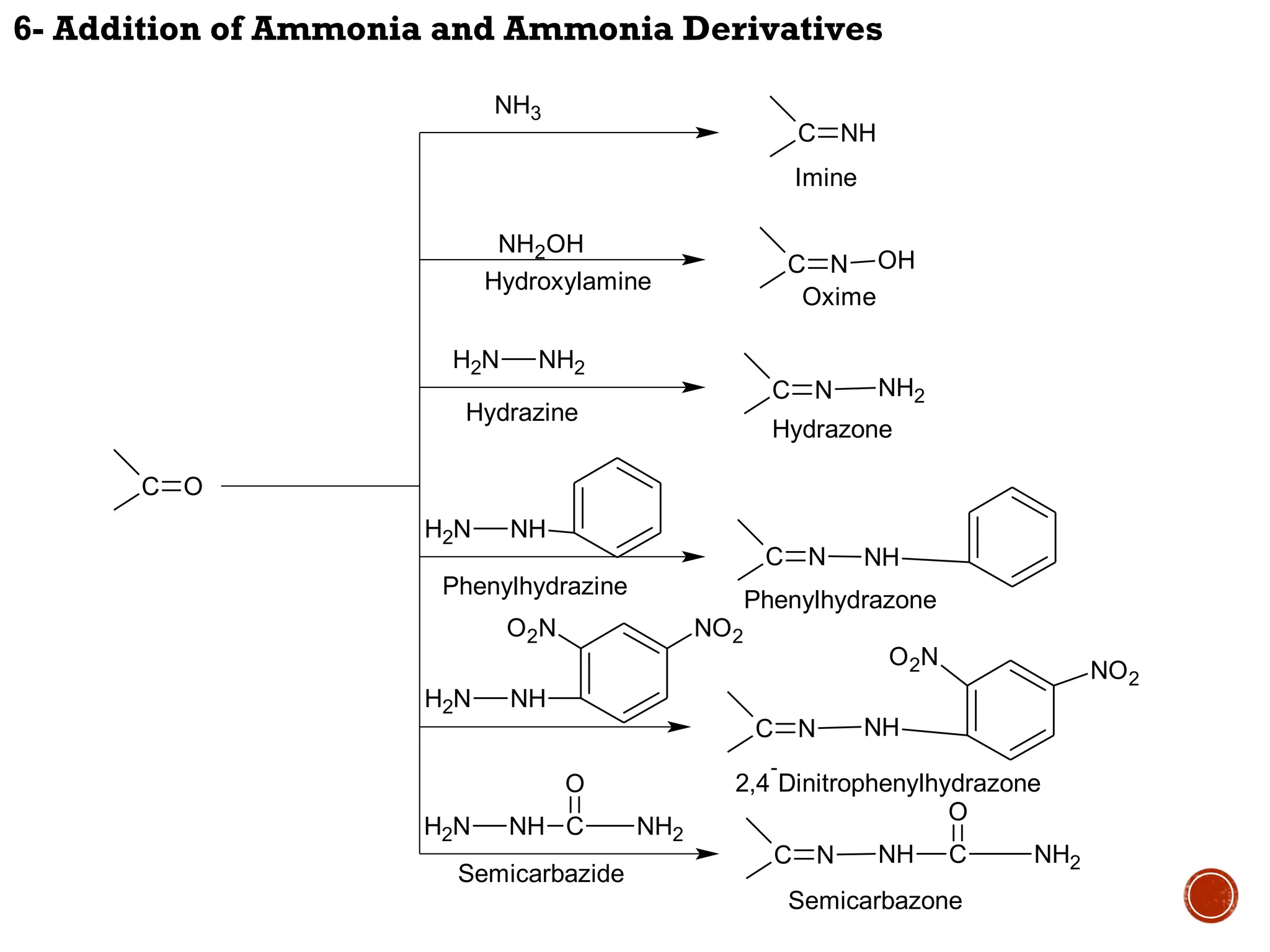 O Nh O2n Cl Aldehydes and ketones | PPT