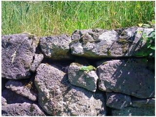 Aldeia de Agra - Verão 2012