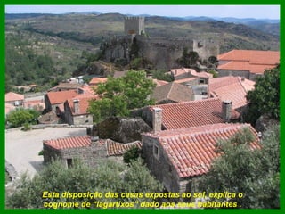 Esta disposição das casas expostas ao sol, explica o cognome de “lagartixos” dado aos seus habitantes . 