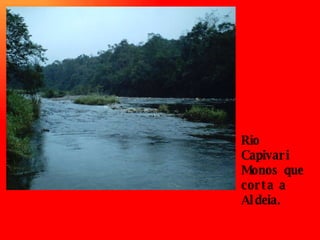 Rio Capivari Monos que corta a Aldeia. 