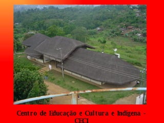 Centro de Educação e Cultura e Indígena - CECI 