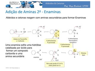 Prof. Hugo Braibante-UFSM
Aldeídos & Cetonas
Adição de Aminas 2ª - Enaminas
31www.ufsm.br/quimica_organica
Aldeídos e cetonas reagem com aminas secundárias para formar Enaminas
Uma enamina sofre uma hidrólise
catalisada por ácido para
formar um composto
carbonila e uma
amina secundária
Adição do Nucleófilo
a Carbonila Carbinolamina
N protonada
Carbinolamina
N protonada
Elimina
água
Carbinolamina
Intermediário
tetraédrico
enamina
Não pode perder H+ do N,
então perde do Ca
 