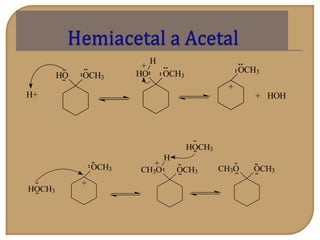 +
OCH3HO OCH3
H
+
H+
HO OCH3
HOH+
OCH3CH3OOCH3CH3O
H
+
OCH3
+
HOCH3
HOCH3
 