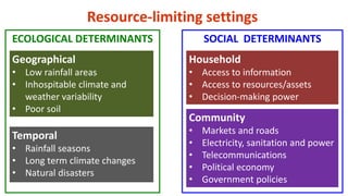 Impact of poultry interventions on household nutrition in Tanzania and lessons learnt along the way