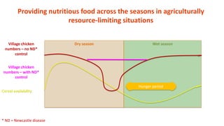 Impact of poultry interventions on household nutrition in Tanzania and lessons learnt along the way