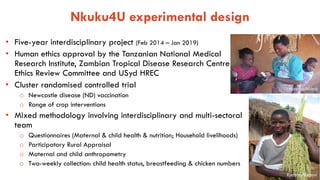 Impact of poultry interventions on household nutrition in Tanzania and lessons learnt along the way