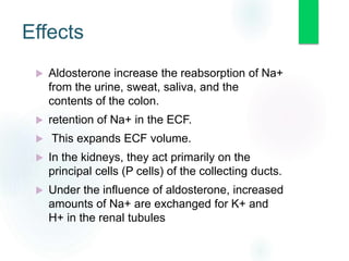 Effects
 Aldosterone increase the reabsorption of Na+
from the urine, sweat, saliva, and the
contents of the colon.
 retention of Na+ in the ECF.
 This expands ECF volume.
 In the kidneys, they act primarily on the
principal cells (P cells) of the collecting ducts.
 Under the influence of aldosterone, increased
amounts of Na+ are exchanged for K+ and
H+ in the renal tubules
 