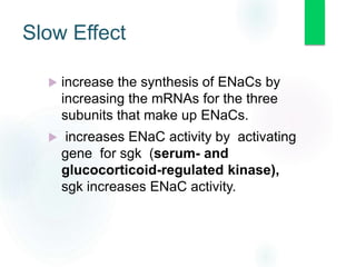 Slow Effect
 increase the synthesis of ENaCs by
increasing the mRNAs for the three
subunits that make up ENaCs.
 increases ENaC activity by activating
gene for sgk (serum- and
glucocorticoid-regulated kinase),
sgk increases ENaC activity.
 