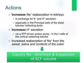  Increases Na+ reabsorption in kidneys
 in exchange for K+ and H+ secretion
 especially in the Principal cells of the distal
tubules/ collecting ducts
 Increases H+ secretion
 via a ATP-driven proton pump - in the I cells of
the cortical collecting tubules
 Increased reabsorption of Na+ from the
sweat, saliva and contents of the colon
Causes Na+ retention & expansion
of ECF volume
Actions
 