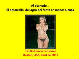 Al desnudo…
El desarrollo del agro del Meta en manos ajenas
Emilio García Gutiérrez
Boston, USA, abril de 2013 1
 