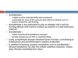 Comprehensive Overview of Alcohol-Associated Liver Disease: Evolution,  Pathogenesis, and Clinical Impact