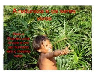 A natureza e os seres
           vivos

    Para o
 Guarani uma
 árvore e um
 ser humano
tem o mesmo
     valor
 
