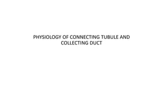 PHYSIOLOGY OF CONNECTING TUBULE AND 
COLLECTING DUCT 
 