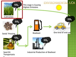 Biodiesel Life Cycel Assessment (LCA) | PDF