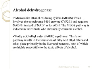 Alcohol induced liver diseases 11
Alcohol dehydrogenase
Microsomal ethanol oxidizing system (MEOS) which
involves the cytochrome P450 enzyme CYP2E1 and requires
NADPH instead of NAD+ as for ADH. The MEOS pathway is
induced in individuals who chronically consume alcohol.
Fatty acid ethyl ester (FAEE) synthase. This latter
pathway results in the formation of fatty acid ethyl esters and
takes place primarily in the liver and pancreas, both of which
are highly susceptible to the toxic effects of alcohol.
 