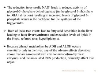 Alcohol induced liver diseases 15
 The reduction in cytosolic NAD+ leads to reduced activity of
glycerol-3-phosphate dehydrogenase (in the glycerol 3-phosphate
to DHAP direction) resulting in increased levels of glycerol 3-
phosphate which is the backbone for the synthesis of the
triglycerides.
 Both of these two events lead to fatty acid deposition in the liver
leading to fatty liver syndrome and excessive levels of lipids in
the blood, referred to as hyperlipidemia.
 Because ethanol metabolism by ADH and ALDH occurs
essentially only in the liver, any of the adverse effects described
above that are associated with ethanol metabolism by these
enzymes, and the associated ROS production, primarily affect that
organ.
 