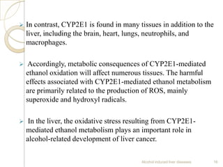  In contrast, CYP2E1 is found in many tissues in addition to the
liver, including the brain, heart, lungs, neutrophils, and
macrophages.
 Accordingly, metabolic consequences of CYP2E1-mediated
ethanol oxidation will affect numerous tissues. The harmful
effects associated with CYP2E1-mediated ethanol metabolism
are primarily related to the production of ROS, mainly
superoxide and hydroxyl radicals.
 In the liver, the oxidative stress resulting from CYP2E1-
mediated ethanol metabolism plays an important role in
alcohol-related development of liver cancer.
Alcohol induced liver diseases 16
 