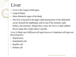 Liver
 Liver is the Largest solid organ,
 Largest Gland,
 Main Metabolic organ of the Body
 The liver is located in the upper right-hand portion of the abdominal
cavity, beneath the diaphragm, and on top of the stomach, right
kidney, and intestines. Shaped like a cone, the liver is a dark reddish-
brown organ that weighs about 3 pounds.
Liver is Made up of different cell types however 4 important cell types are
discussing here
 Hepatocytes,
 Endothelial cells
 Kupffer cell
 Stellate cell
Alcohol induced liver diseases 6
 