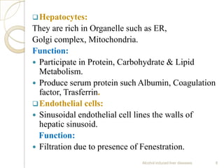 Hepatocytes:
They are rich in Organelle such as ER,
Golgi complex, Mitochondria.
Function:
 Participate in Protein, Carbohydrate & Lipid
Metabolism.
 Produce serum protein such Albumin, Coagulation
factor, Trasferrin.
Endothelial cells:
 Sinusoidal endothelial cell lines the walls of
hepatic sinusoid.
Function:
 Filtration due to presence of Fenestration.
Alcohol induced liver diseases 8
 