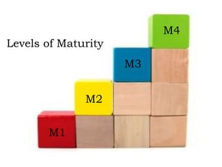 M1
M2
M3
M4
Levels of Maturity
 