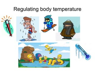 Regulating body temperature
 