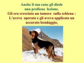 Anche il suo cane gli diede
una proficua lezione.
Gli era cresciuto un tumore sulla schiena :
L’aveva operato e gli aveva applicato un
accurato bendaggio,
 