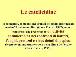 Le catelicidine
sono peptidi, contenuti nei granuli dei polimorfonucleati
neutrofili dei mammiferi (Ganz T. et al, 1997), uomo
compreso, che presentando un'attività
antimicrobica nei confronti di batteri,
funghi, protozoi e virus dotati di peplos,
rivestono un importante ruolo nella difesa dell'ospite
(Bals R. et al., 1999).
 