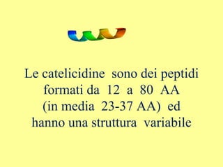 Le catelicidine sono dei peptidi
formati da 12 a 80 AA
(in media 23-37 AA) ed
hanno una struttura variabile
 