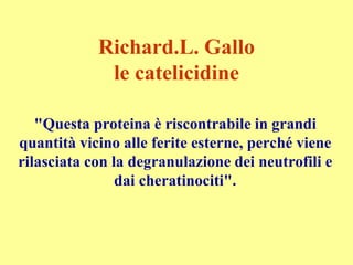 Richard.L. Gallo
le catelicidine
"Questa proteina è riscontrabile in grandi
quantità vicino alle ferite esterne, perché viene
rilasciata con la degranulazione dei neutrofili e
dai cheratinociti".
 