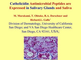Cathelicidin Antimicrobial Peptides are
Expressed in Salivary Glands and Saliva
M. Murakami, T. Ohtake, R.A. Dorschner and
Richard.L. Gallo*
Division of Dermatology, University of California
San Diego; and VA San Diego Healthcare Center,
San Diego, CA 92161, USA;
 