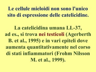 Le cellule mieloidi non sono l'unico
sito di espressione delle catelicidine.
La catelicidina umana LL-37,
ad es., si trova nei testicoli (Agerberth
B. et al., 1995) e in vari epiteli dove
aumenta quantitativamente nel corso
di stati infiammatori (Frohm Nilsson
M. et al., 1999).
 