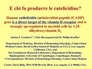 E chi fa produrre le catelicidine?
Human cathelicidin antimicrobial peptide (CAMP)
gene is a direct target of the vitamin D receptor and is
strongly up-regulated in myeloid cells by 1,25-
dihydroxyvitamin D3
Adrian F. Gombart*,1, Niels Borregaard and H. Phillip Koeffler*
* Department of Medicine, Division of Hematology/Oncology, Cedars-Sinai
Medical Center, David Geffen School of Medicine at UCLA, Los Angeles,
California, USA; and
The Granulocyte Research Laboratory, Department of Hematology,
Rigshospitalet, University of Copenhagen, Copenhagen, Denmark
1 Correspondence: Division of Hematology/Oncology, Cedars-Sinai Medical
Center, Davis Bldg. 5019, 8700 Beverly Blvd., Los Angeles, CA 90048, USA.
 